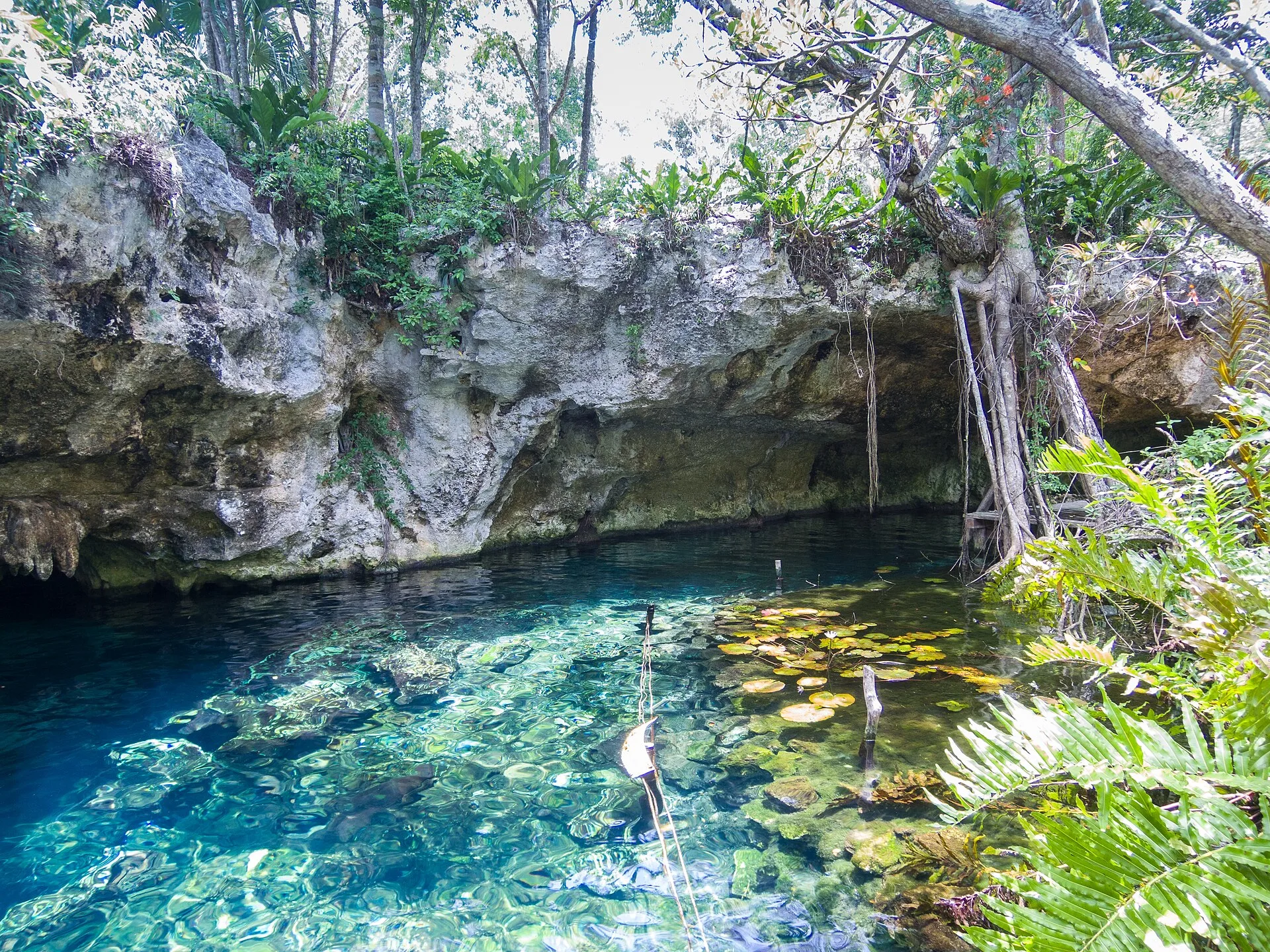 Les cénotes autour de Tulum